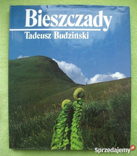 BIESZCZADY Tadeusz Budziński