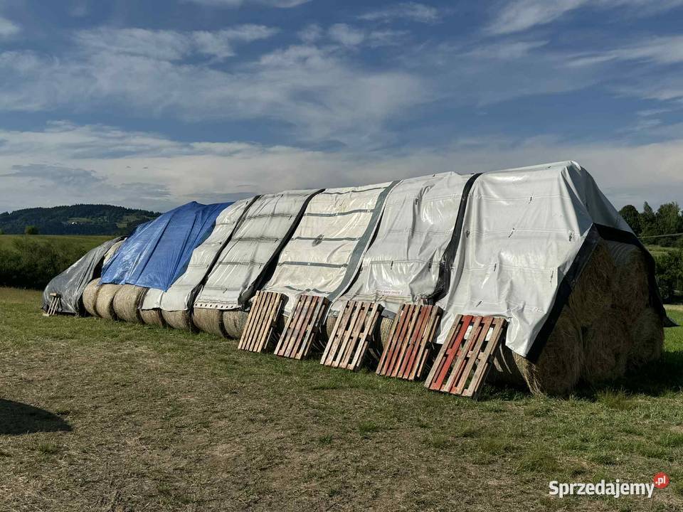 Siano Bele siana 120x130 TRANSPORT małopolskie Kasina Wielka
