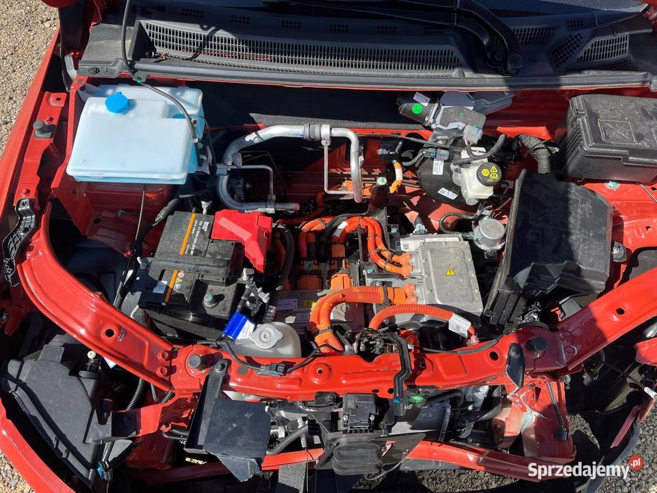 DACIA Spring Extrme 45 GY738 sprzedam