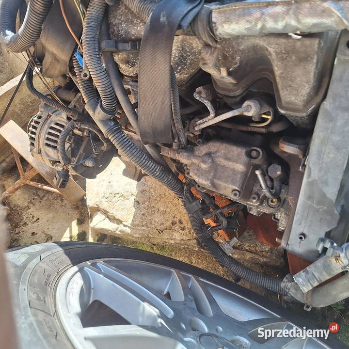VW T4 25 tdi części Bachowice
