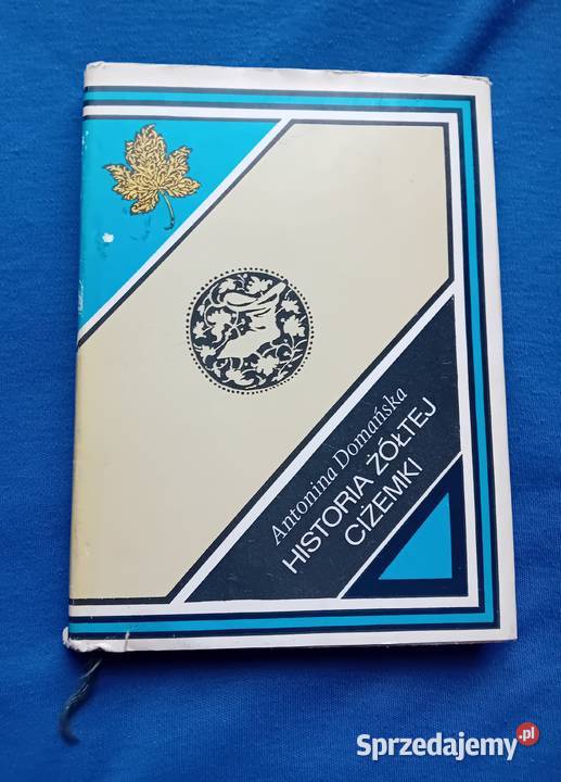 Antonina Domanska Historia żółtej ciżemki Nasza Antyki, Sztuka, Kolekcje Koźminek