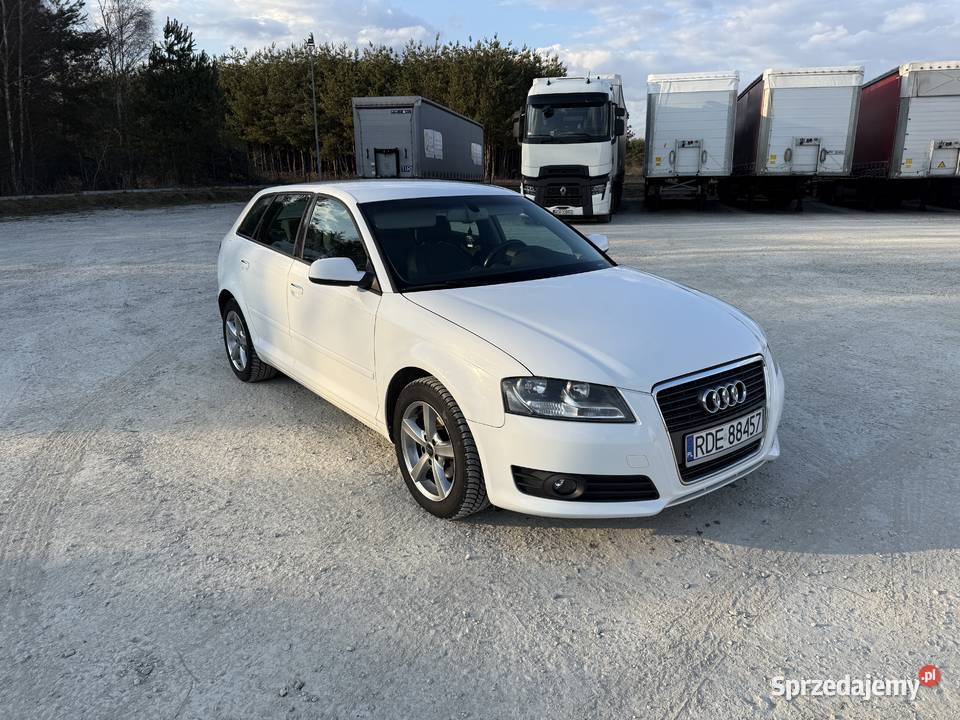 Audi A3 8P 2010 16 TDI 262 000 Pilzno