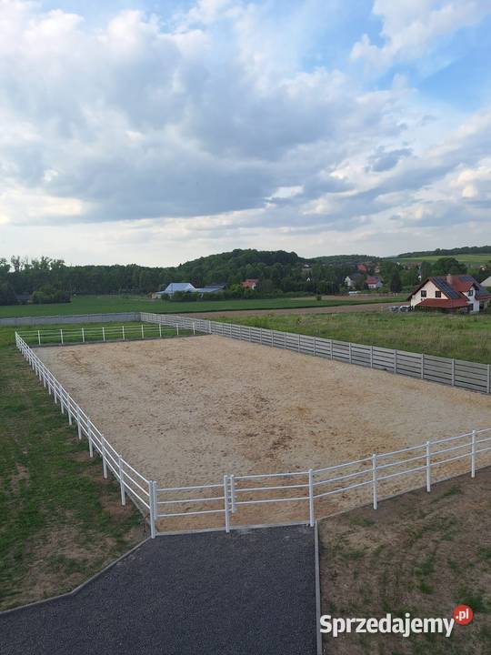 Ogrodzenie koni białe pcv słupki lonżownik