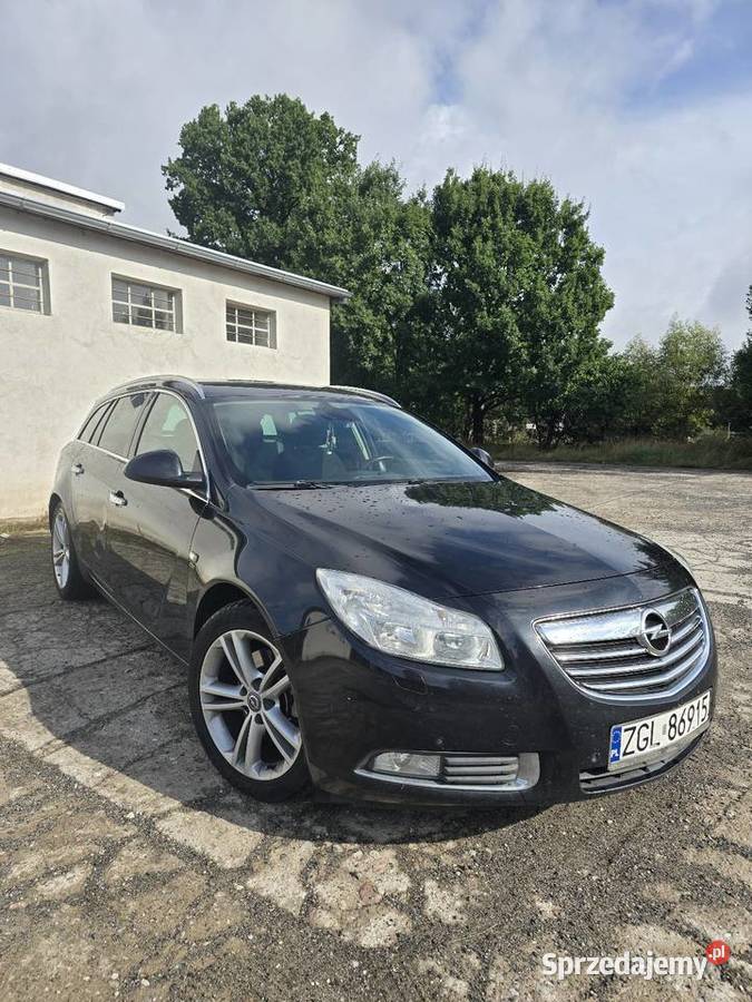 Opel Insignia 20 160 2011r Bogate Wyposażenie 160KM Dębice