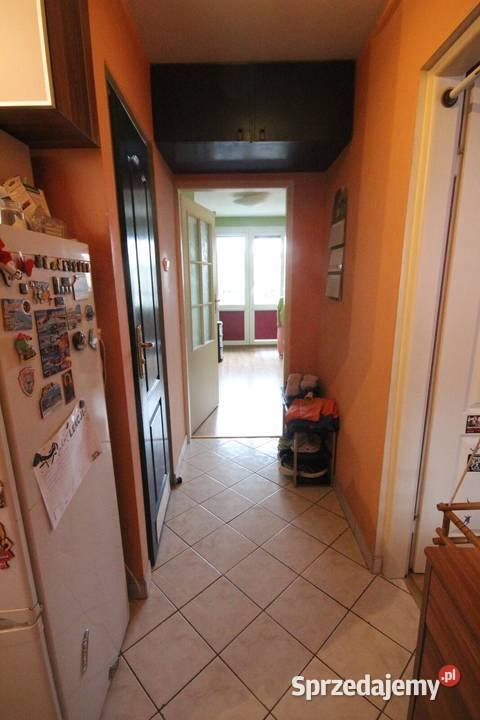 2pok 35met Jodłowej PEŁEN ROZKŁADPIWNICA Wrocław pom. użytkowe