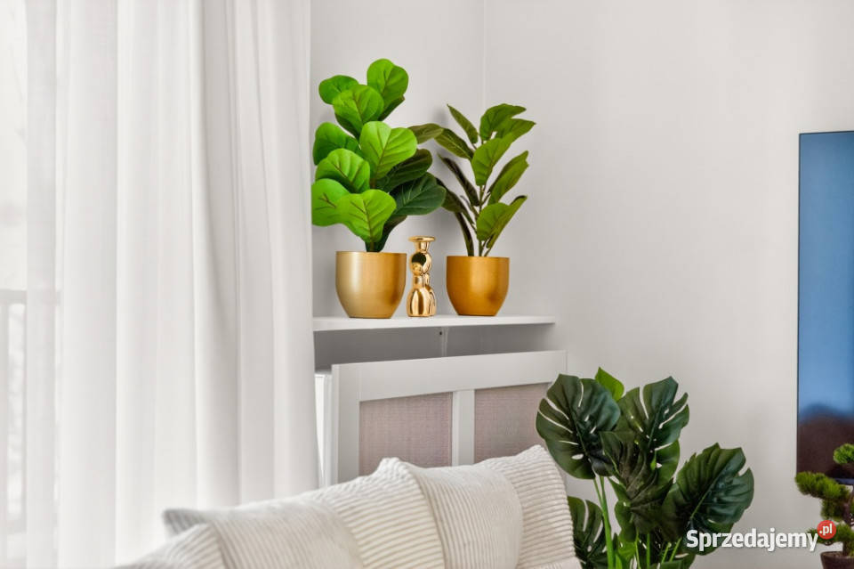 Nowoczesna kawalerka w pełni umeblowana z Szczecin