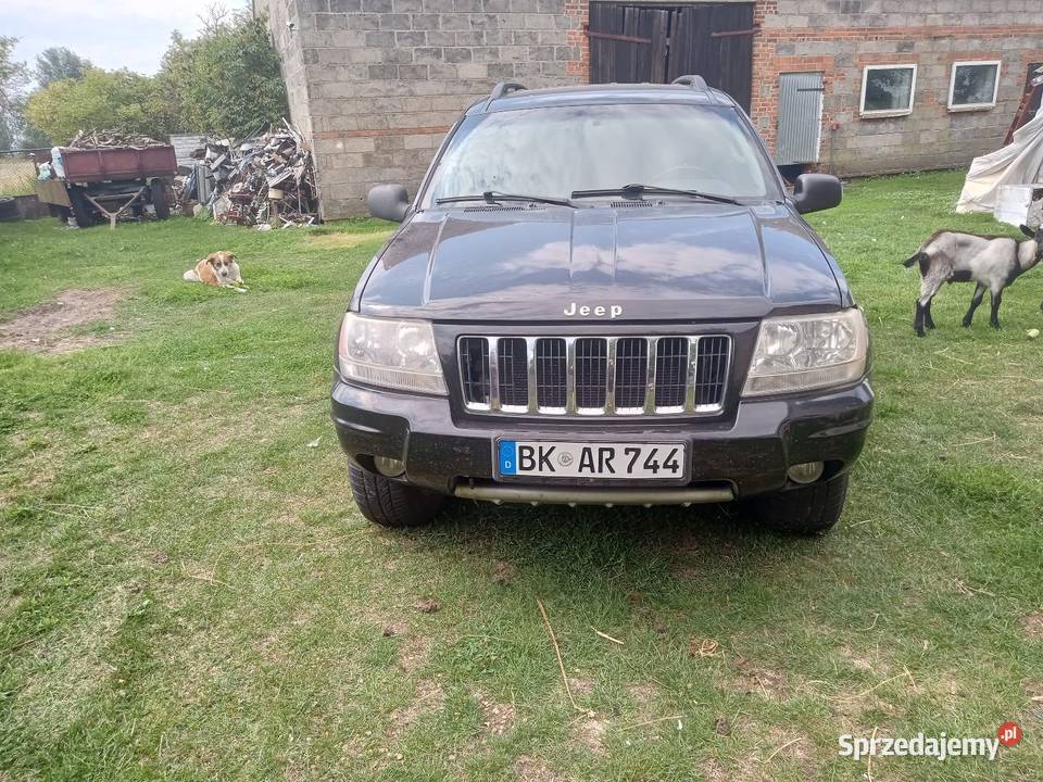 Jeep grand Cherokee 27 186000km Września sprzedam