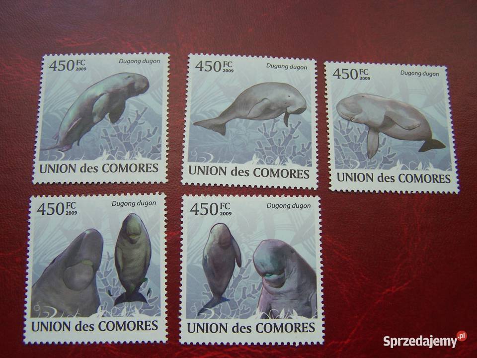 Komory 2009 MNH Fauna Zwierzęta Morskie Dugong Tychy
