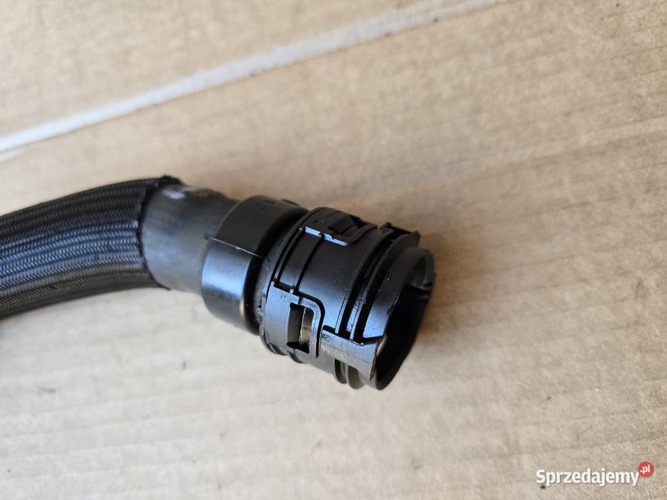 Toyota Proace Jumpy Spacetourer Traveller rura dolnośląskie Legnica