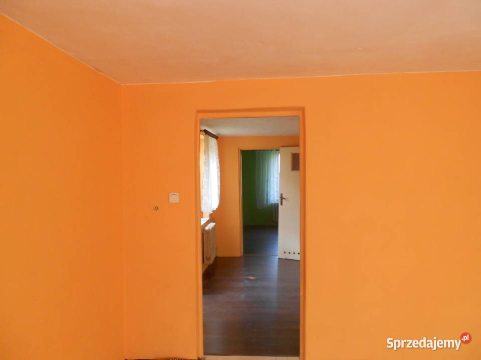 wynajmę domek w czernikowie Czernikowo