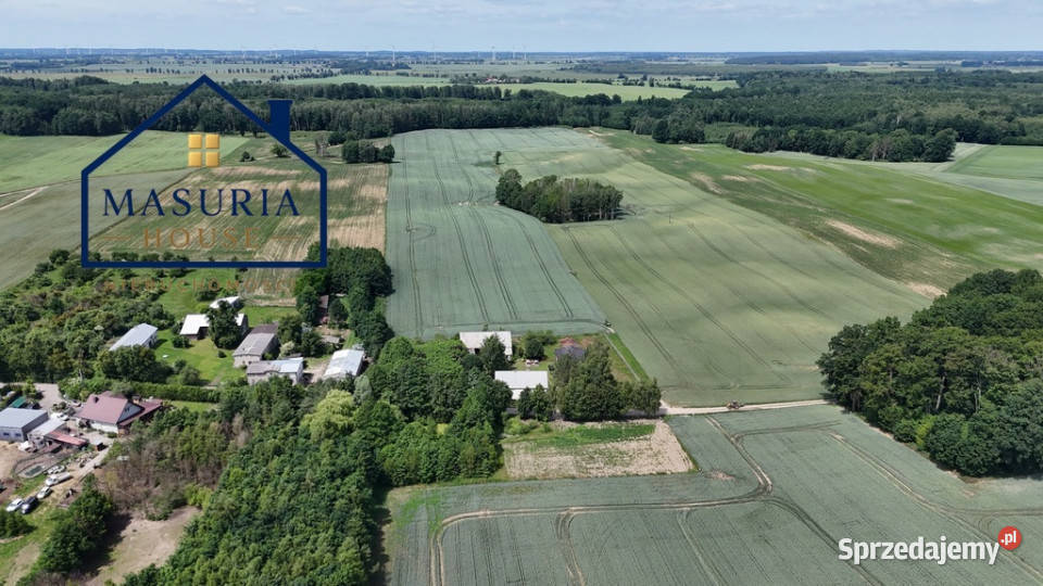 Wyjątkowe siedlisko pod lasem Jędrychowo