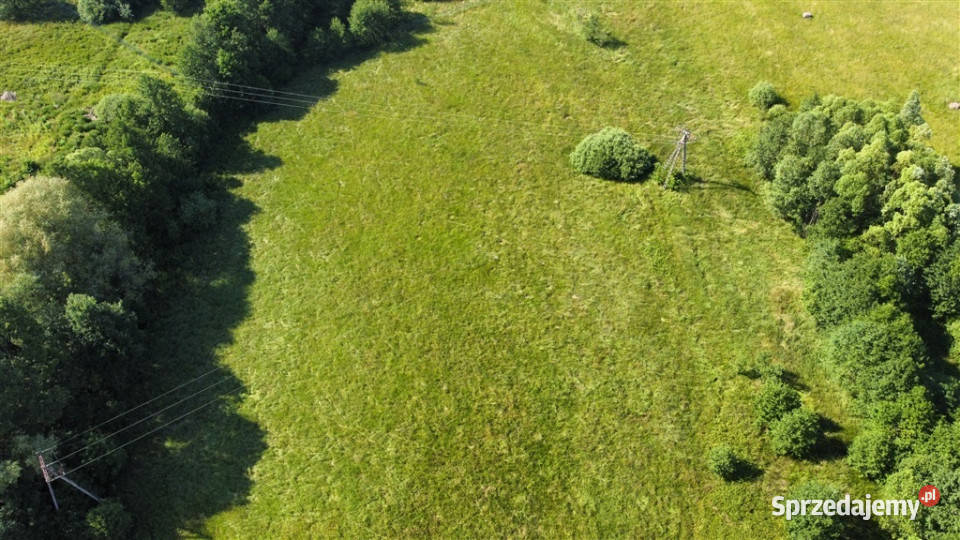 Świetna działki inwestycyjnej w Sosnówce