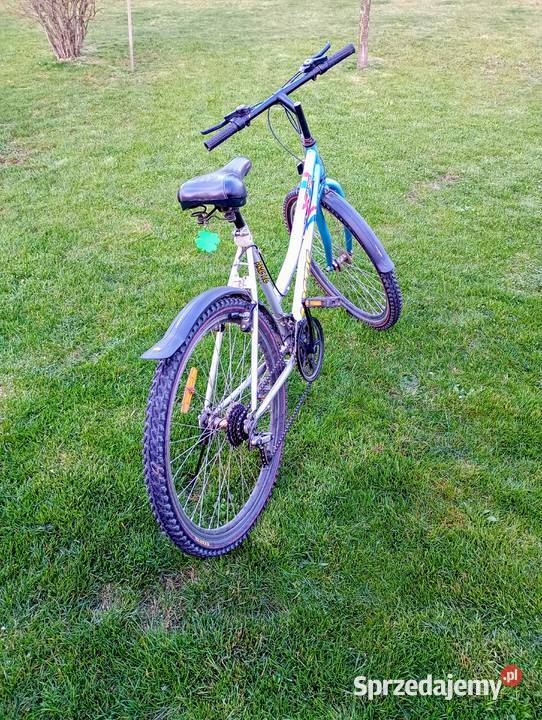 Rower miejski z przerzutkami Dębowiec