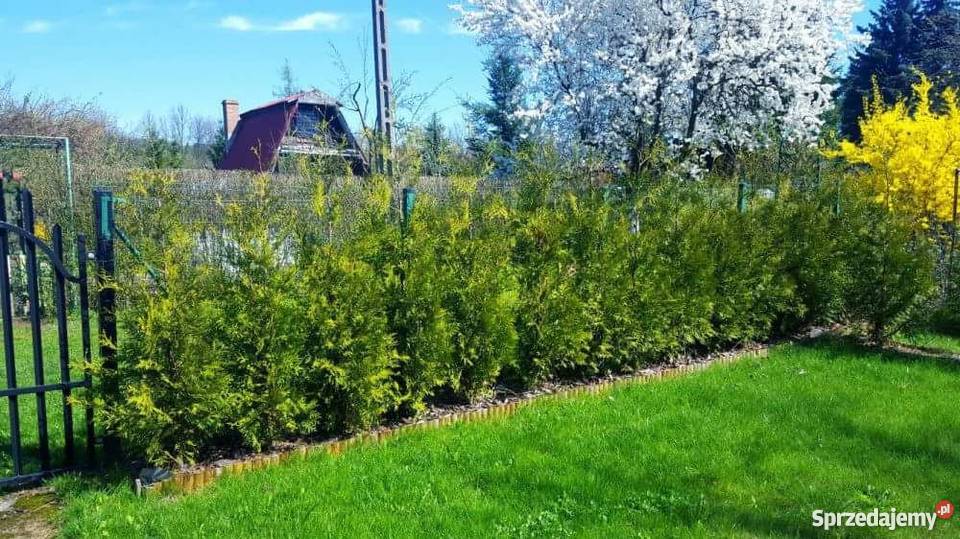 Sprzedam dzialke rekreacyjną Warszawska Kielce 34zł/m2