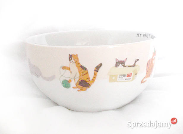 pastelowa miseczka z kotami ceramiczna miseczka Miski Olsztyn
