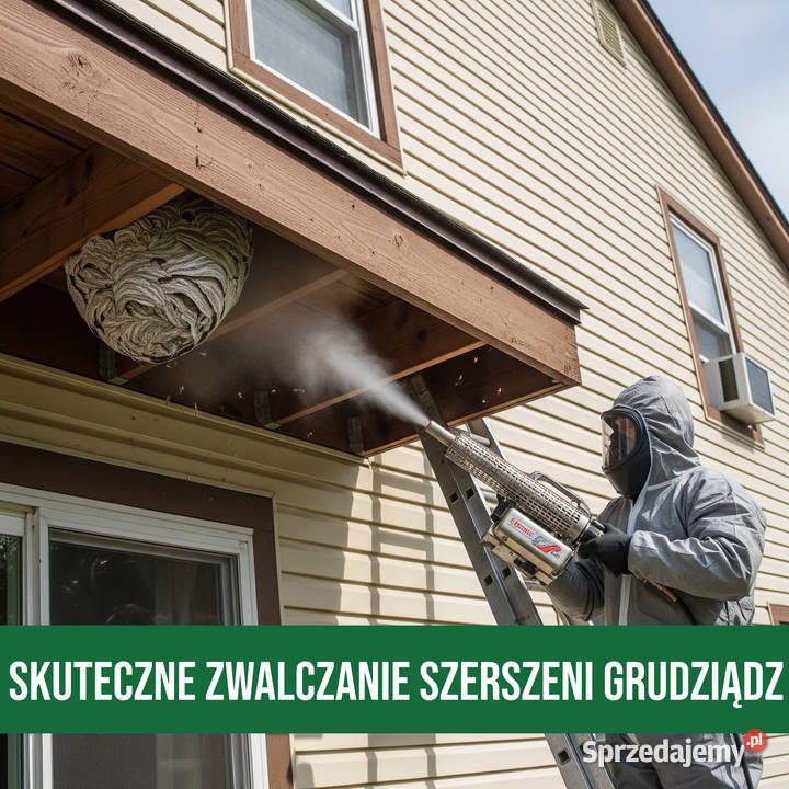 Zwalczanie Szerszeni Grudziądz Usuwanie Gniazd