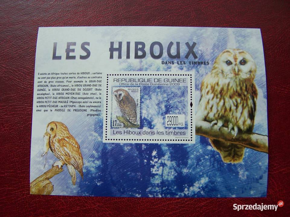 Gwinea 2009 MNH Fauna Ptaki Sowy na znaczkach Tychy