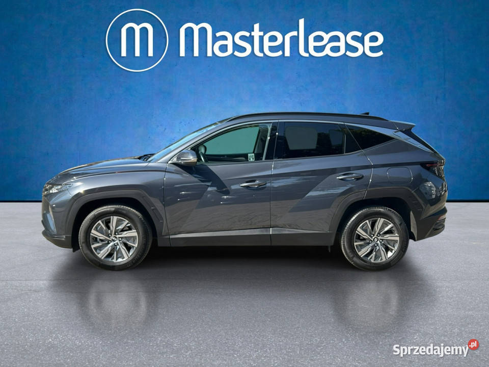 Hyundai Tucson 16 TGDi HEV Executive 2WD Z mazowieckie Warszawa