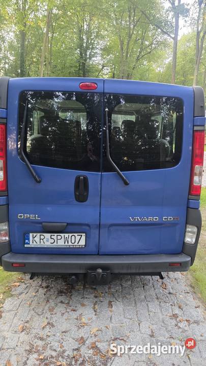 Opel vivaro Van / Minibus Kraków sprzedam