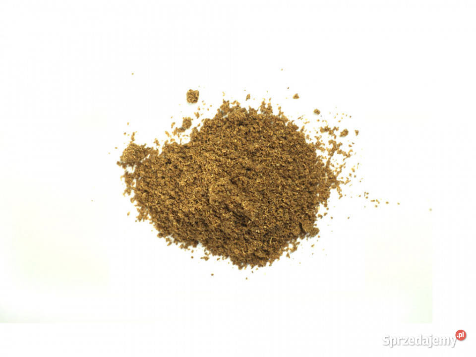 Kolendra mielona 100g podkarpackie