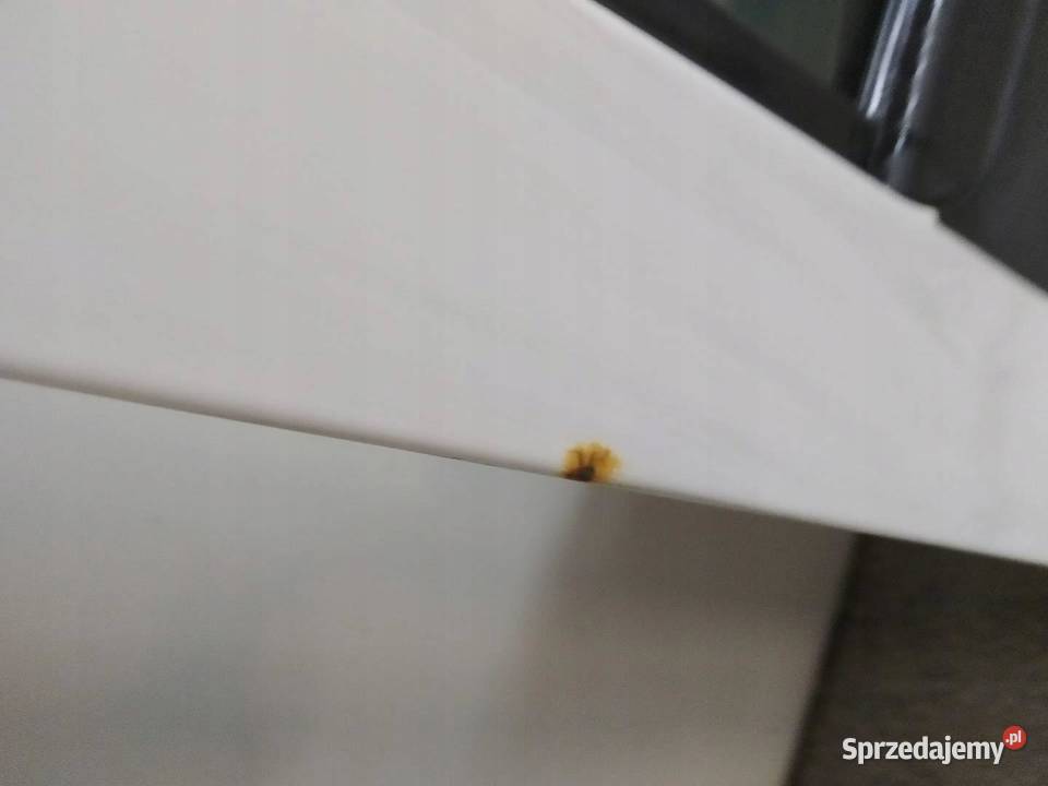 DRZWI PRAWE PRZÓD 07R KOMPLETNE Iveco Stralis sprzedam