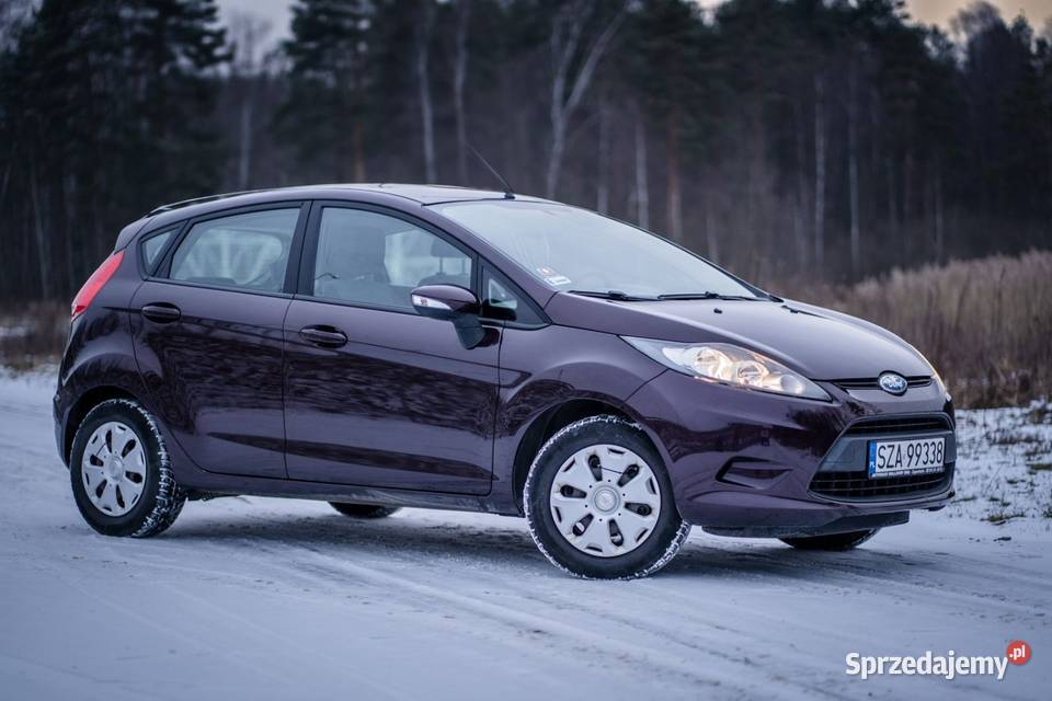 Fordzik kobiety manualna śląskie