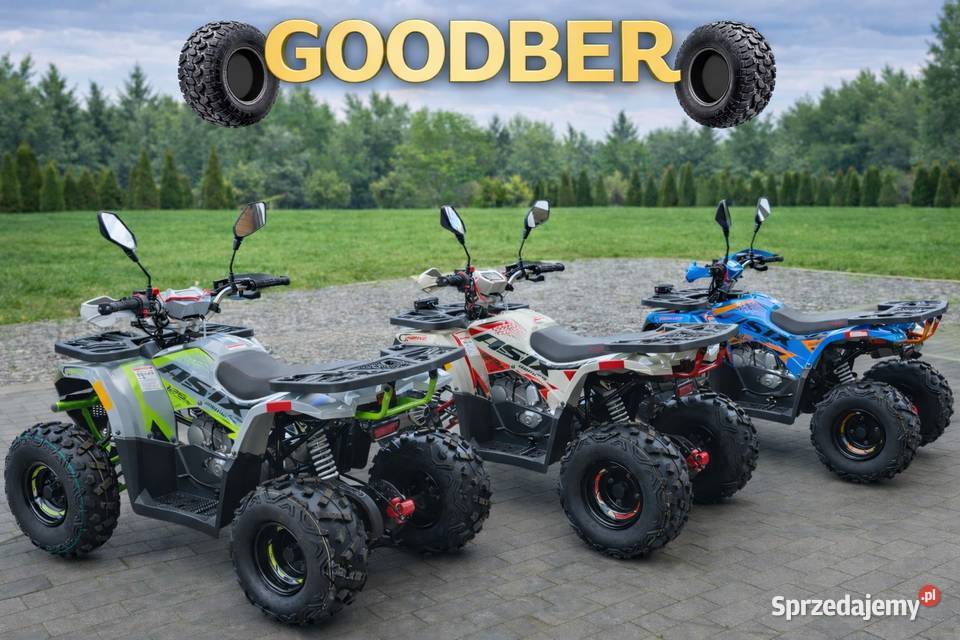 ASIX Hunter 125 Quad Bieliny