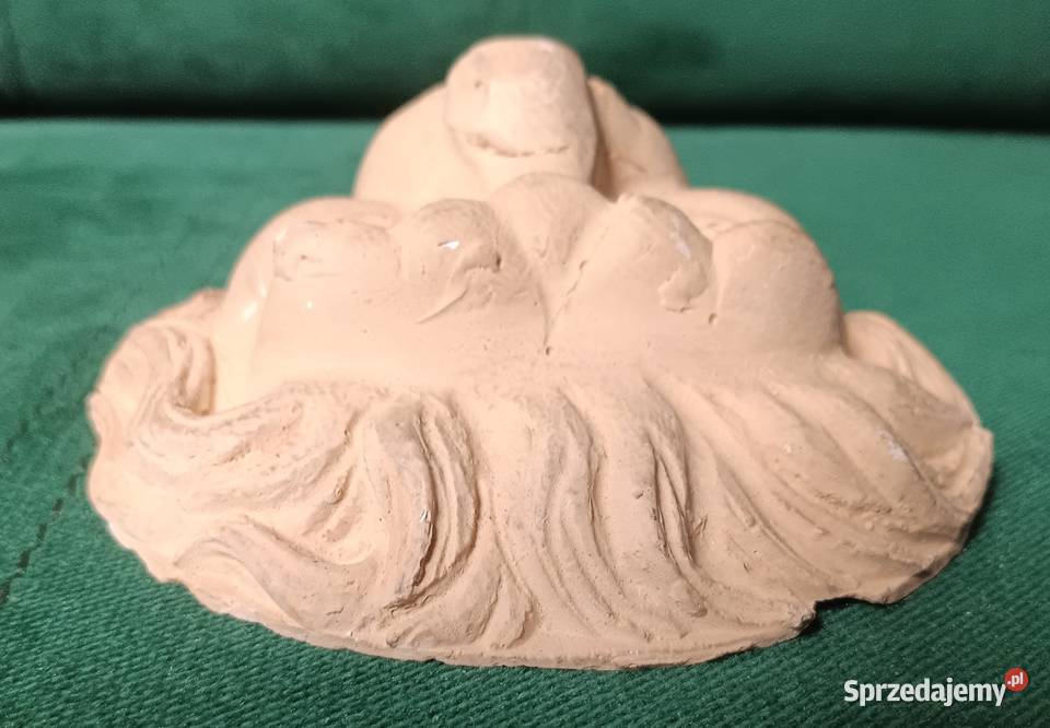 Gipsowy odlew głowy lwa Zbylitowska Góra