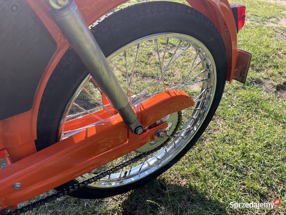 Komar zarejestrowany podkarpackie Rzeszów