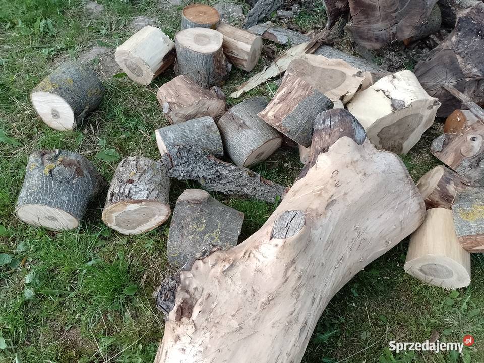 Sprzedam kłody orzecha włoskiego okorowane sprzedam