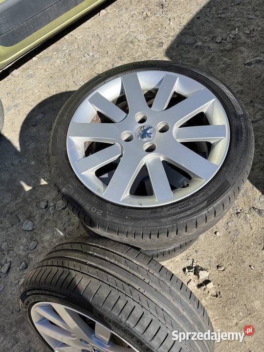 Continental Letnie Strzelin