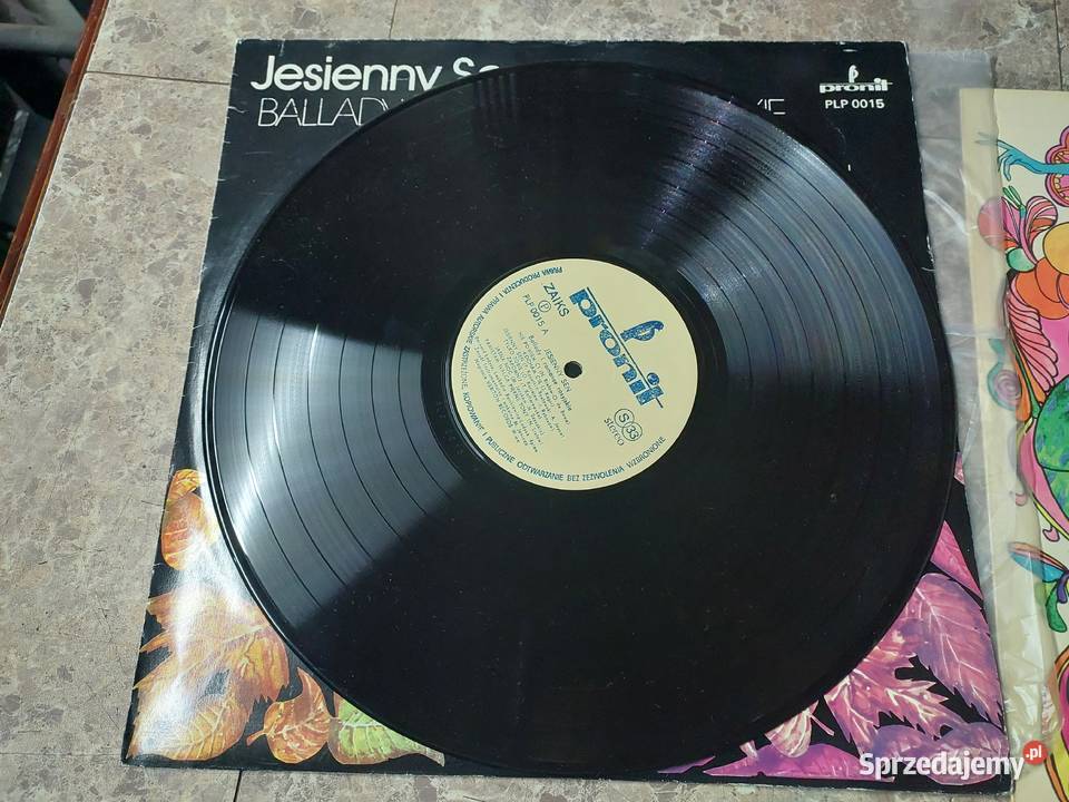 27 28 2x Płyta winylowa Jesienny Sen i Russian Tczew sprzedam