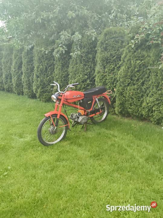 Sprzedam ogar 205 Biała Podlaska