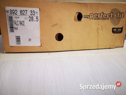 Buty narciarskie Salomon Falcon Race 120 Kraków sprzedam