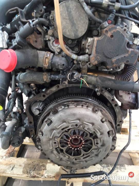 SILNIK KOMPLETNY DIESEL 23 DCI 125 M9T 670 świętokrzyskie