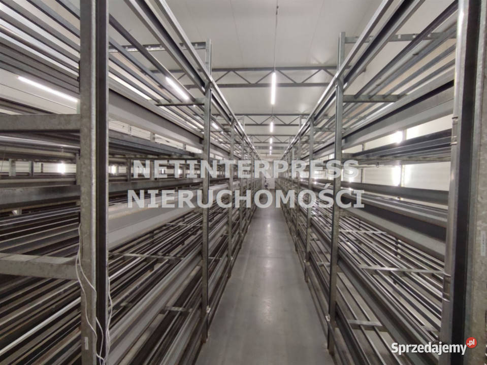 sprzedaży lokalu 6820m2 Poznań