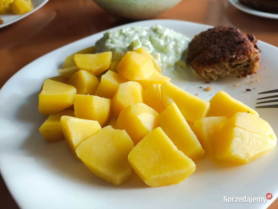 Ziemniaki Laura czerwone Rośliny okopowe Żory