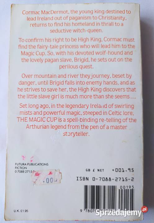 THE MAGIC CUP Andrew M Greeley podlaskie Hajnówka