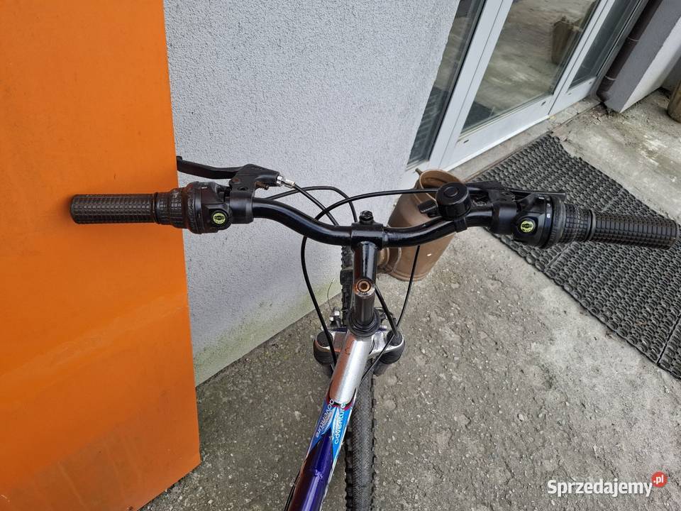 Rower górski 24 cale pomorskie Sztum