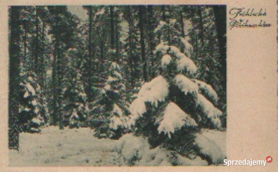 K Poczt DR widoki 3 poz Gliwice