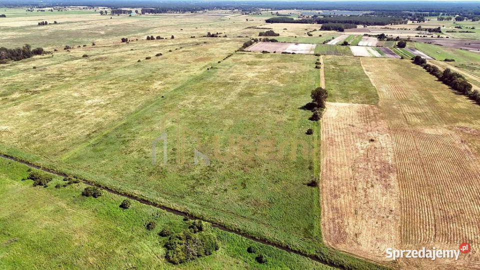 Działka rolna GmGoleniów na sprzedaż