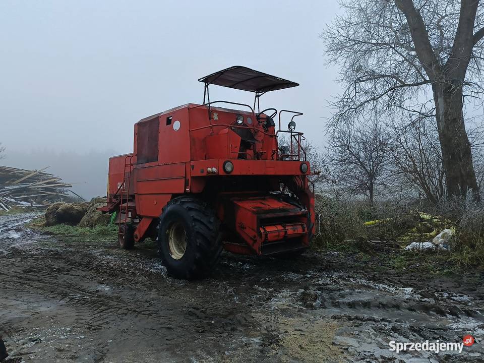Bizon Z056 Super szuka domu Lubieszyn