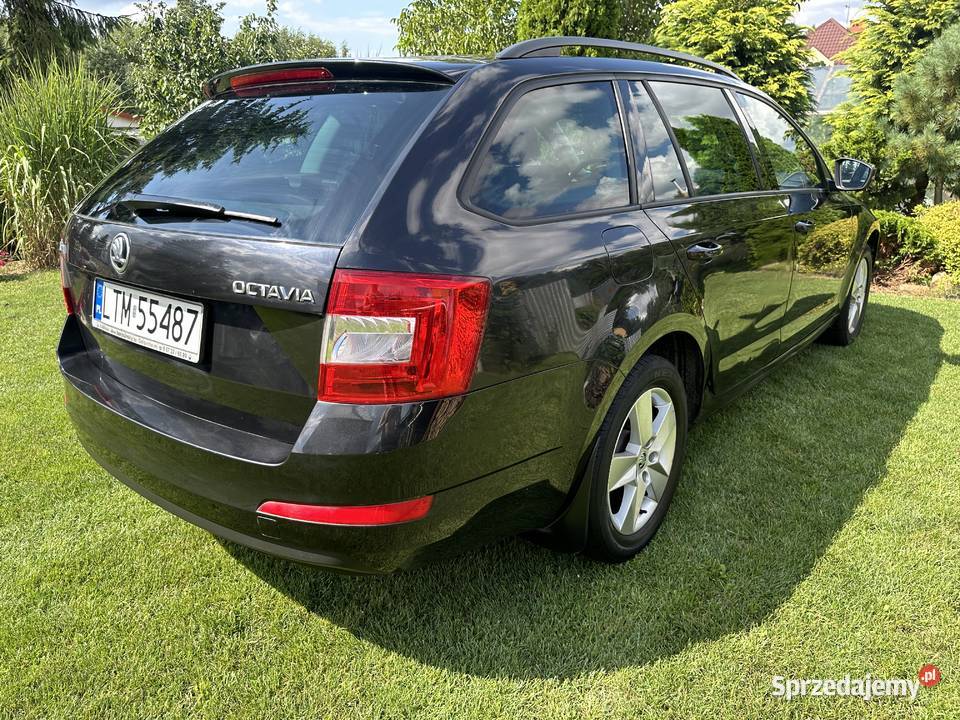 Skoda octavia III 16 TDI 2015 przebieg 169000 Rok produkcji 2015 Tomaszów Lubelski sprzedam