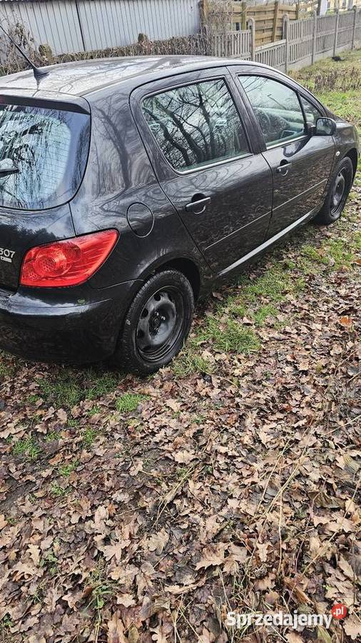 Peugeot 307 14 16v Sątopy