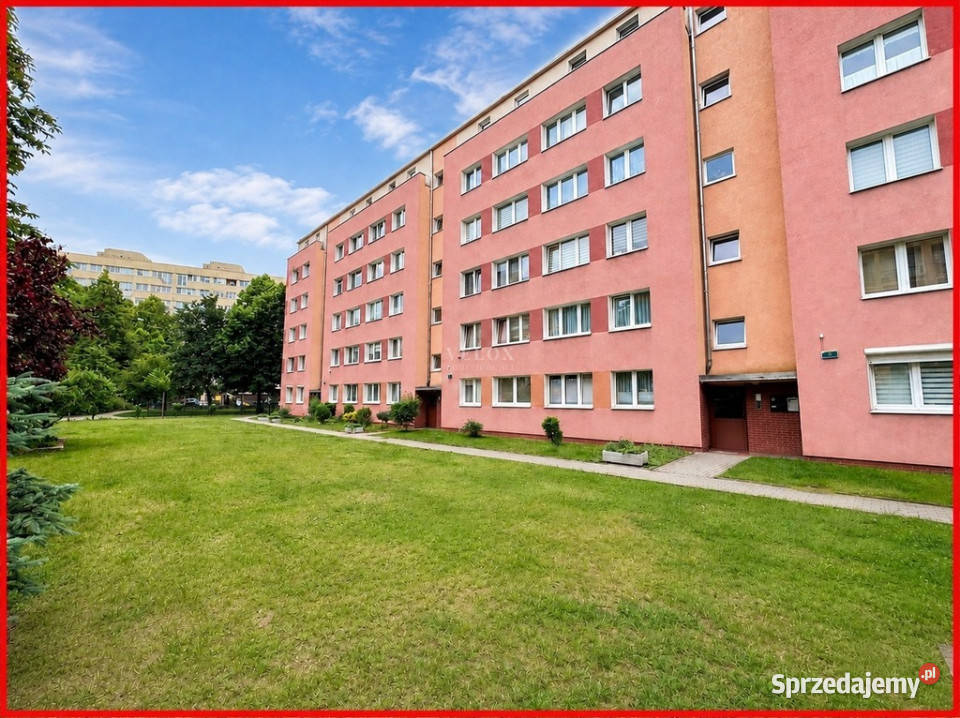 Pompuj biceps na remoncie i łydki na schodach Szczecin