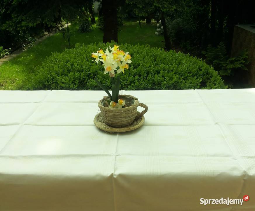 Wielkanoc kwadratowy obrus kratka i róże 137x137cm