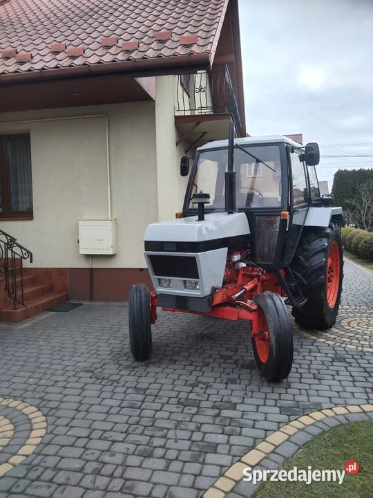 Sprzedam Dawid Brown 1390 Starachowice