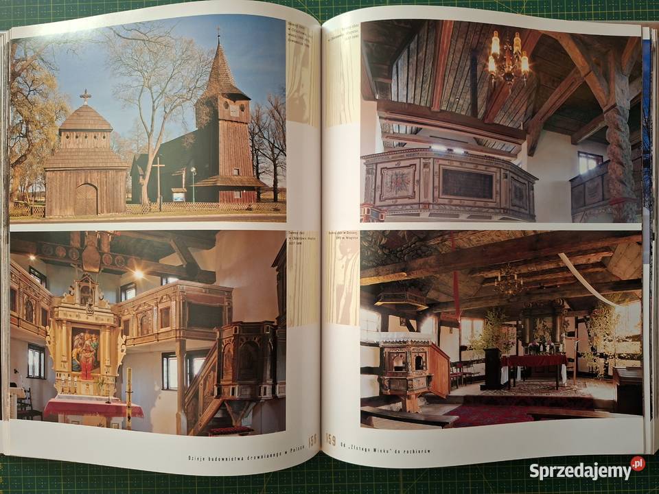Drewno i architektura Grażyna Ruszczyk Arkady Kraków sprzedam