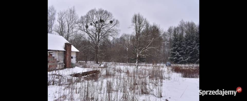 Dzialka 289ha lubelskie Opole Lubelskie sprzedam