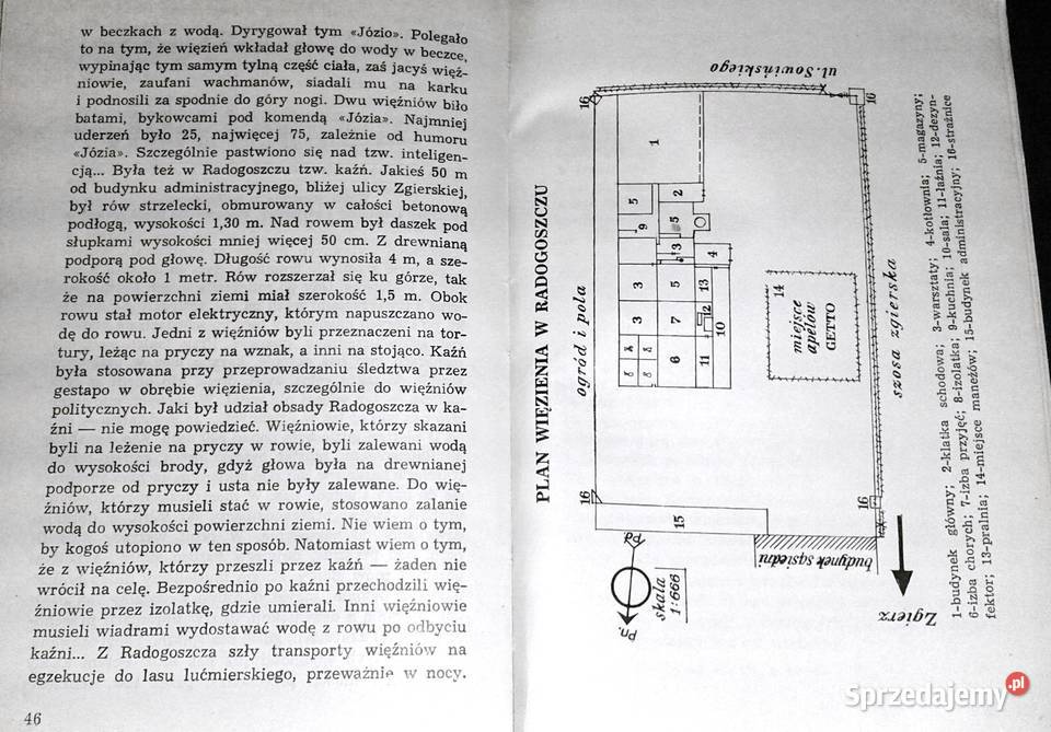Radogoszcz Stanisław Lewicki Chełm